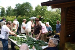 kronenfest_2013_krone_binden_29