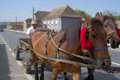 rumaenien_04_2008_11