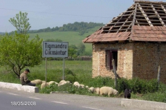 rumaenien_04_2008_8